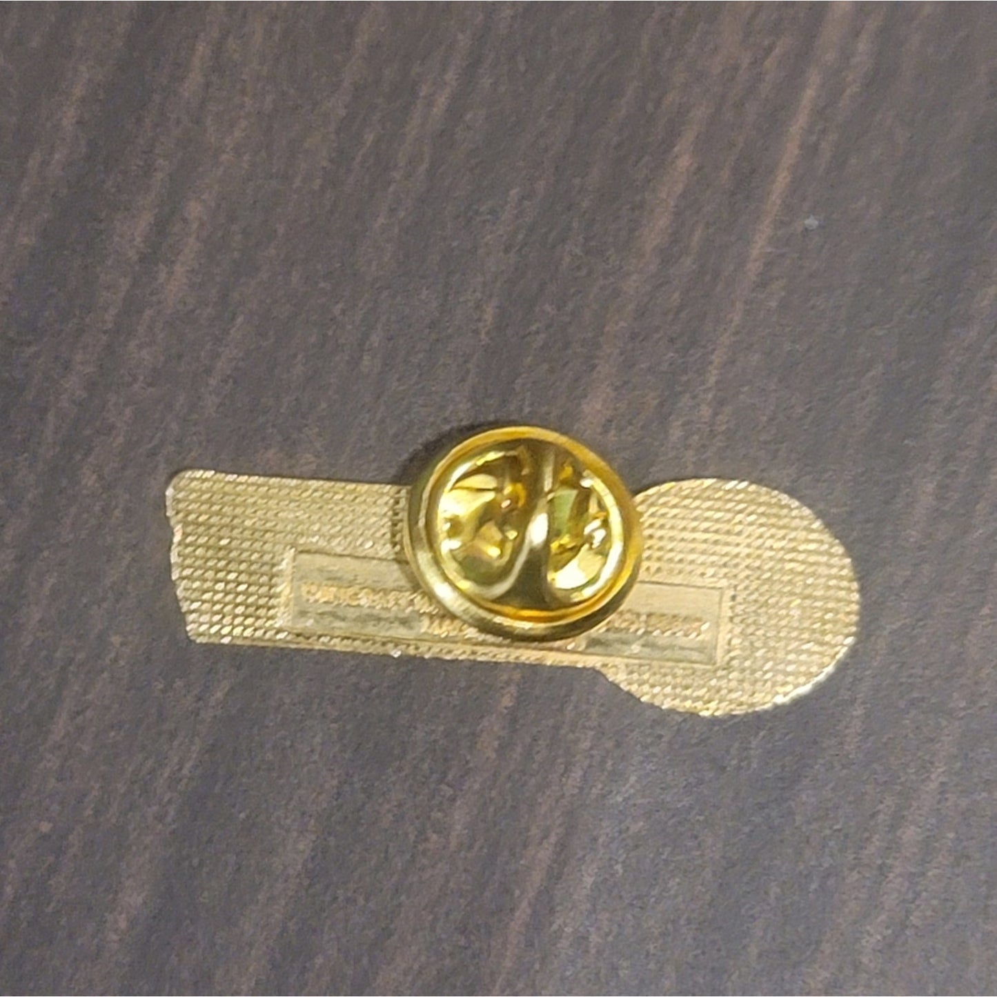 Vtg Texas Motor Speedway Pin