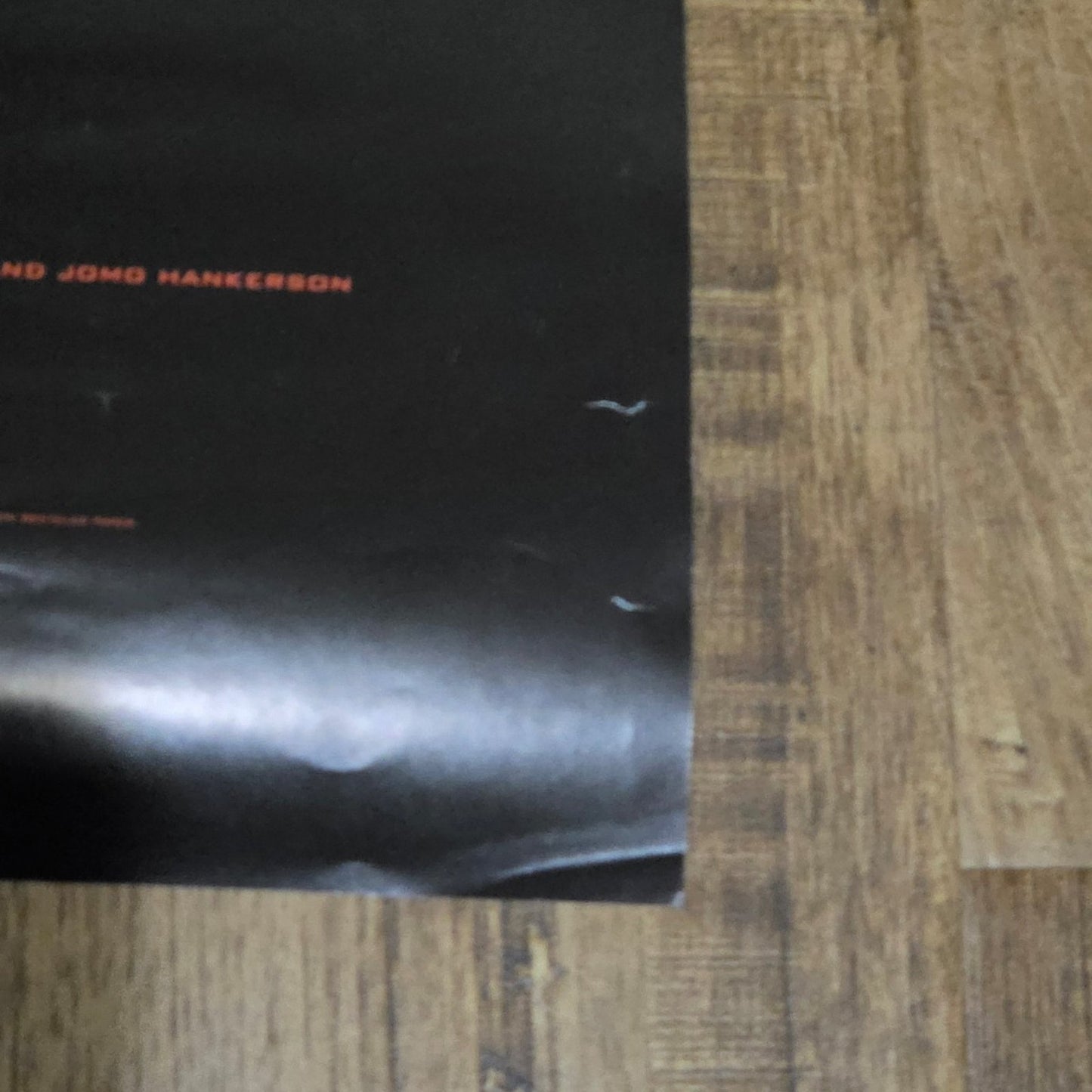 Vtg 2001 Aaliyah Double-sided Promo Poster