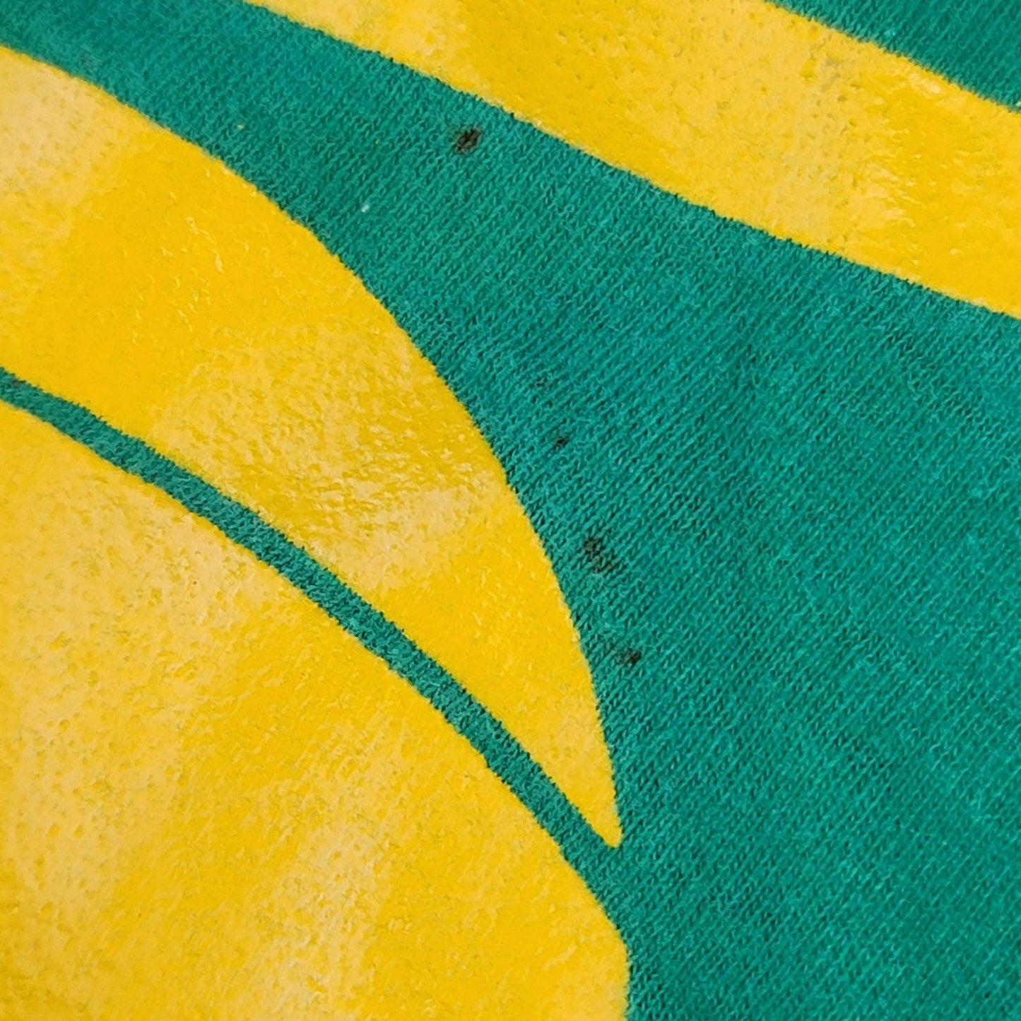 Vtg Champion Notre Dame Titans Reversible Basketball Jersey