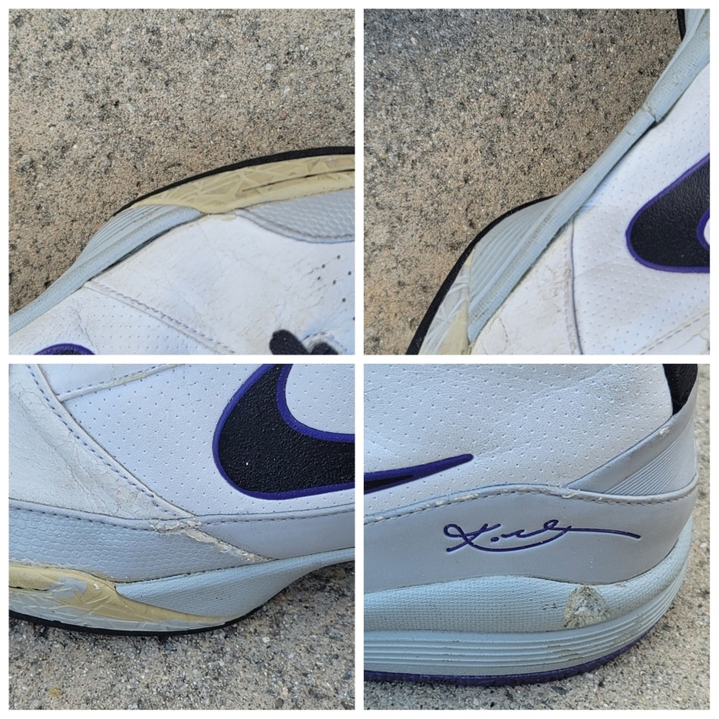 Nike Zoom Kobe Bryant Dream Season X Shoes SAMPLE