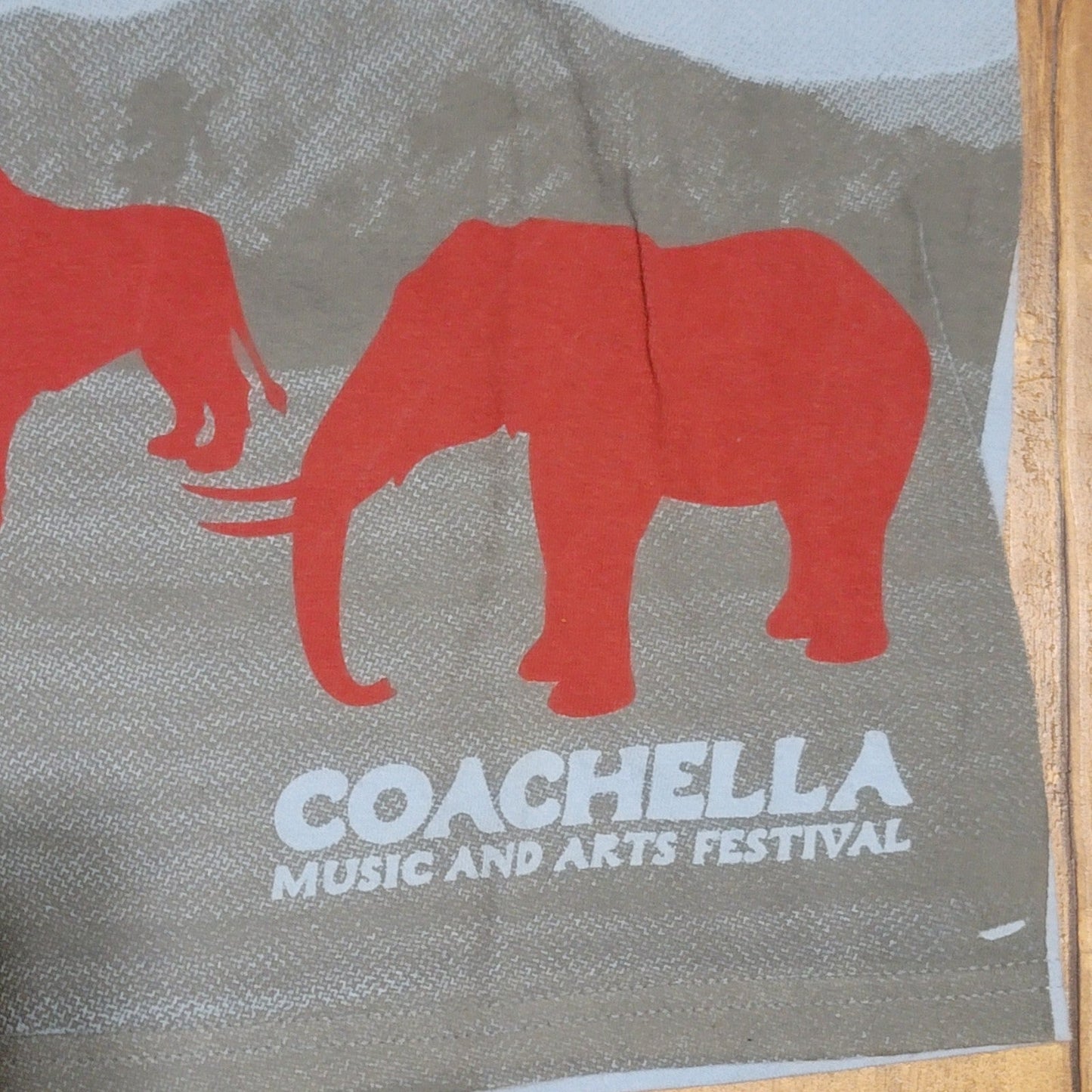 Vtg 2006 Coachella Music And Arts Festival Safari T-shirt