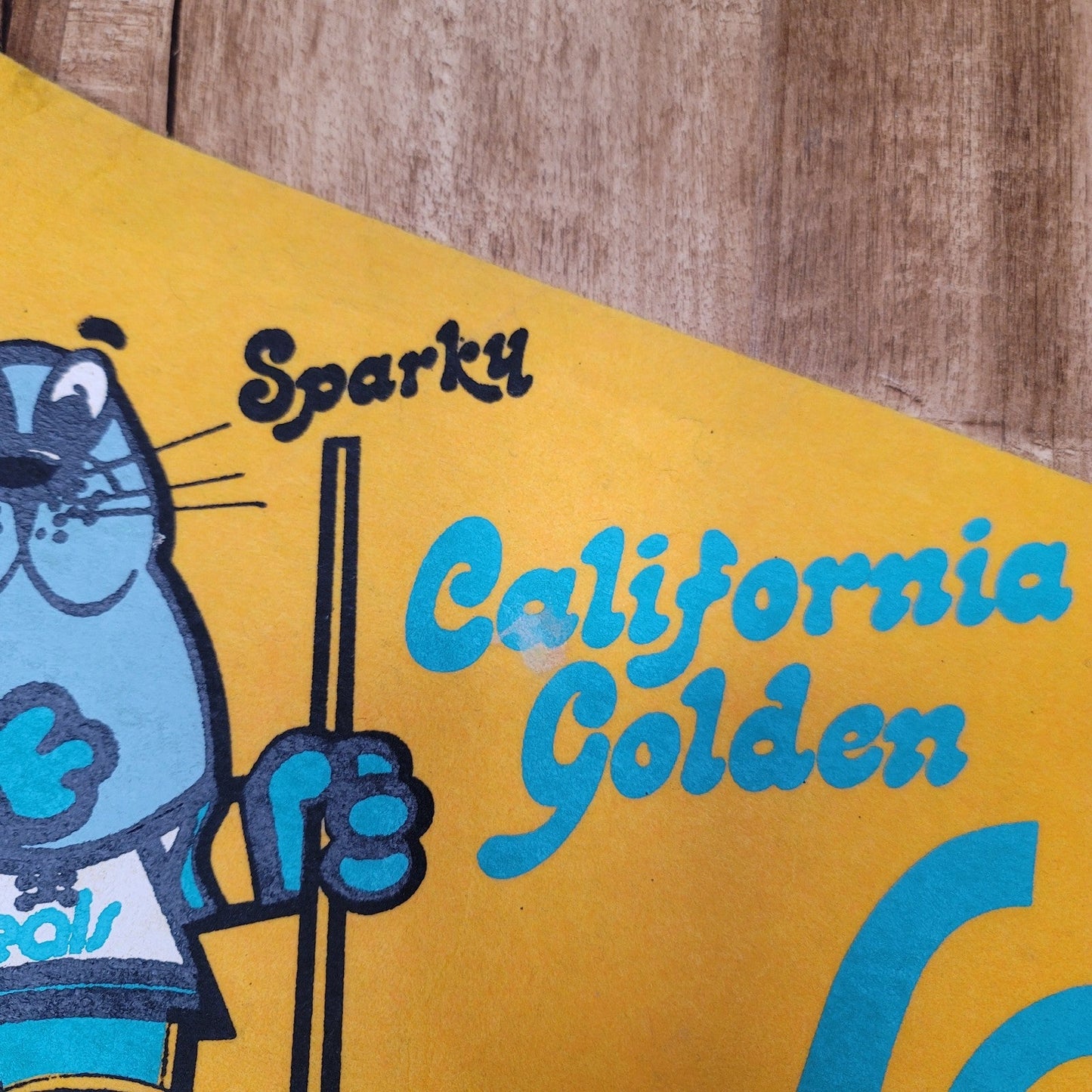 Vtg 1974 California Golden Seals Pennant NHL Sparky