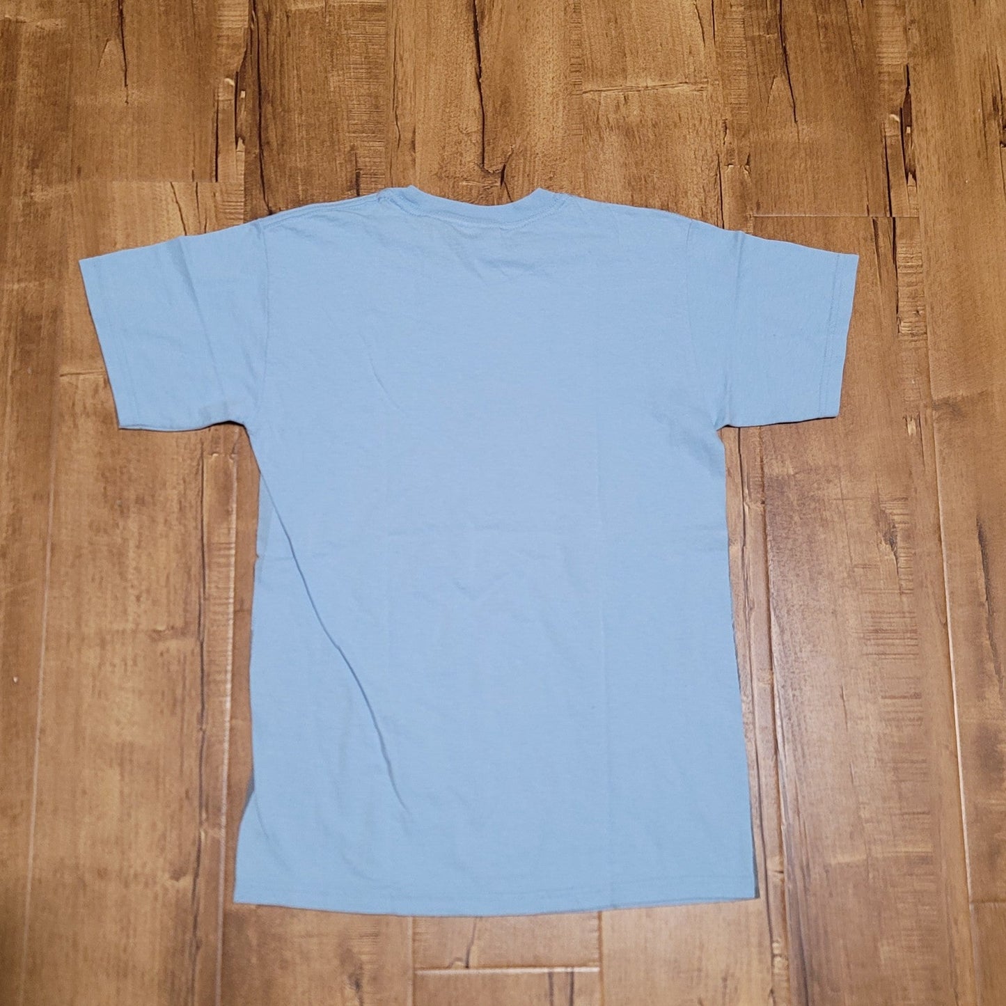 Vtg 2006 Coachella Music And Arts Festival Safari T-shirt
