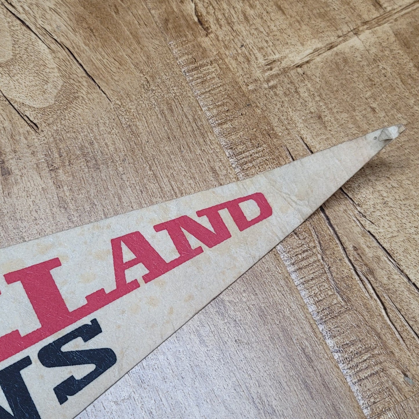Vtg 1970s Cleveland Barons Pennant NHL